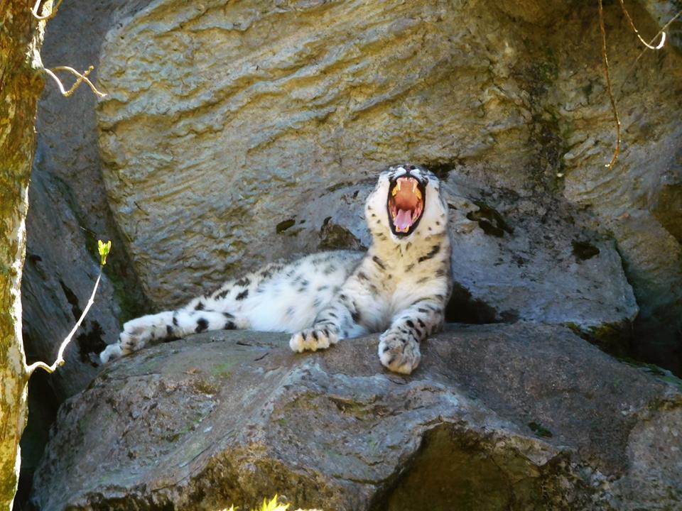 Prázdninový tip: Zoo Jihlava - místo, kde to mám moc ráda
