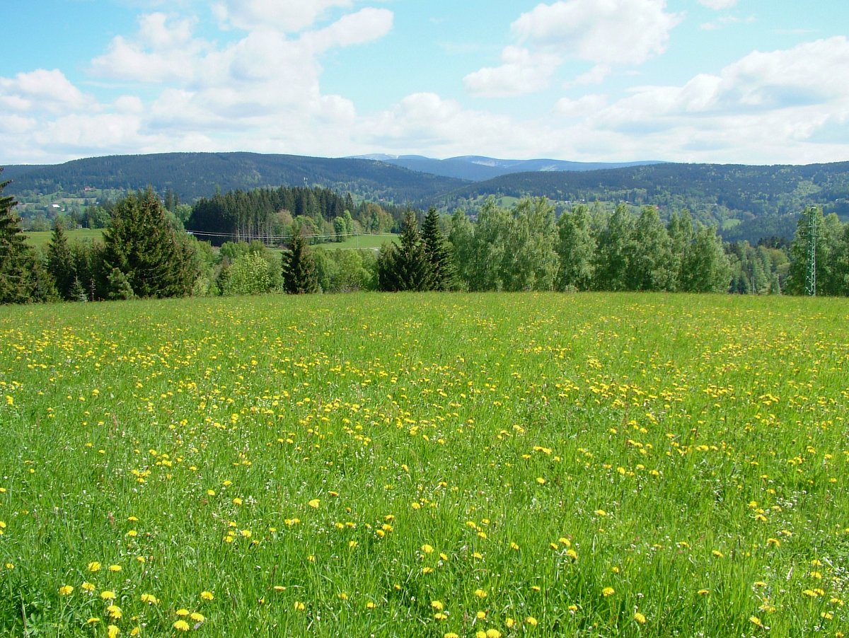 FOTO: M. Richterová