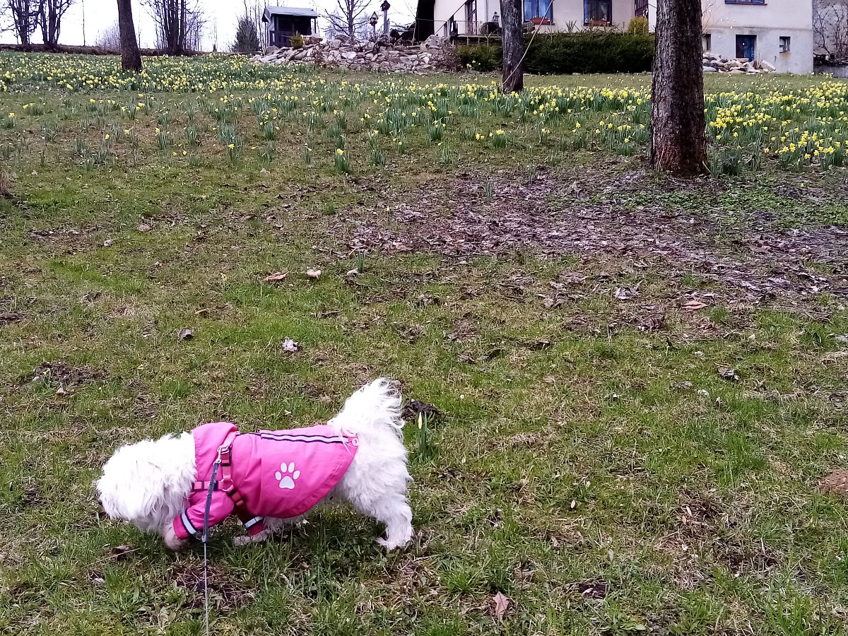 FOTO: M. Richterová