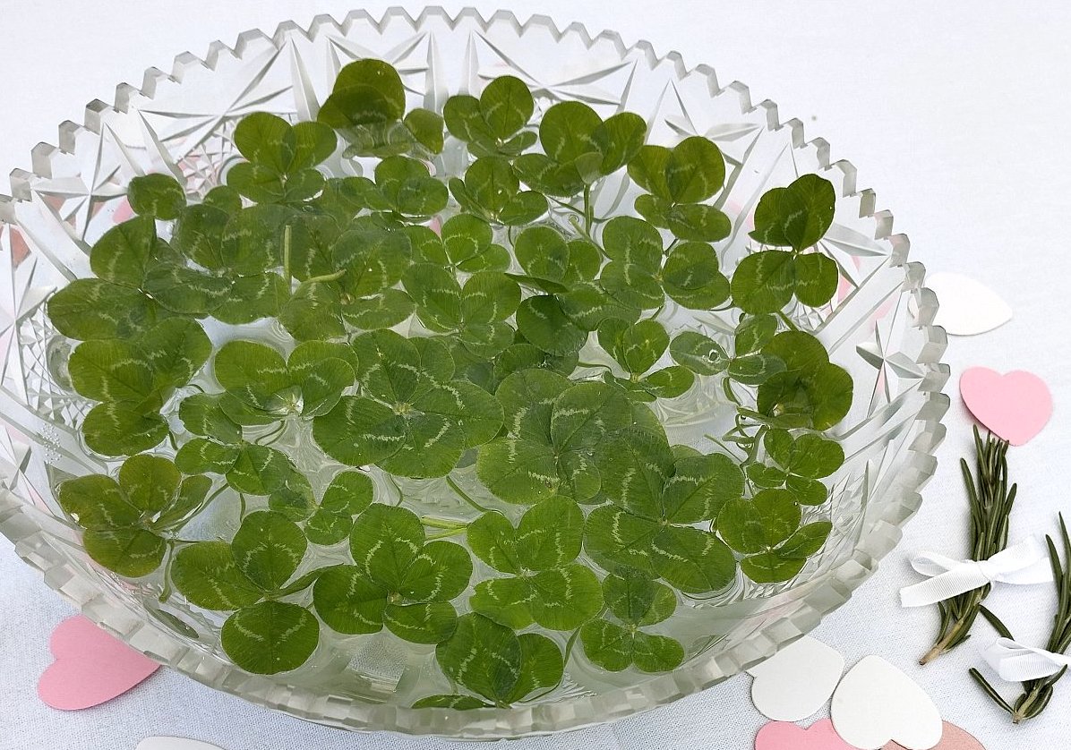 FOTO: Miloslava Richterová