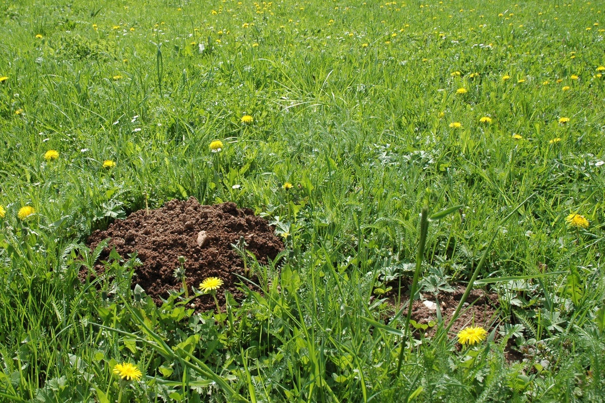 FOTO: autorka