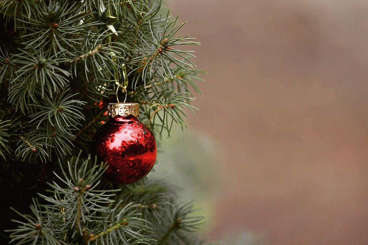 Ilustrační foto: Pixabay