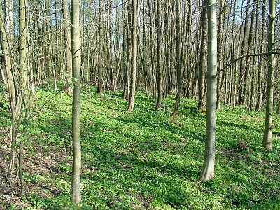 o Velikonocích