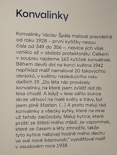texty