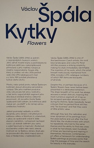 doprovodné texty